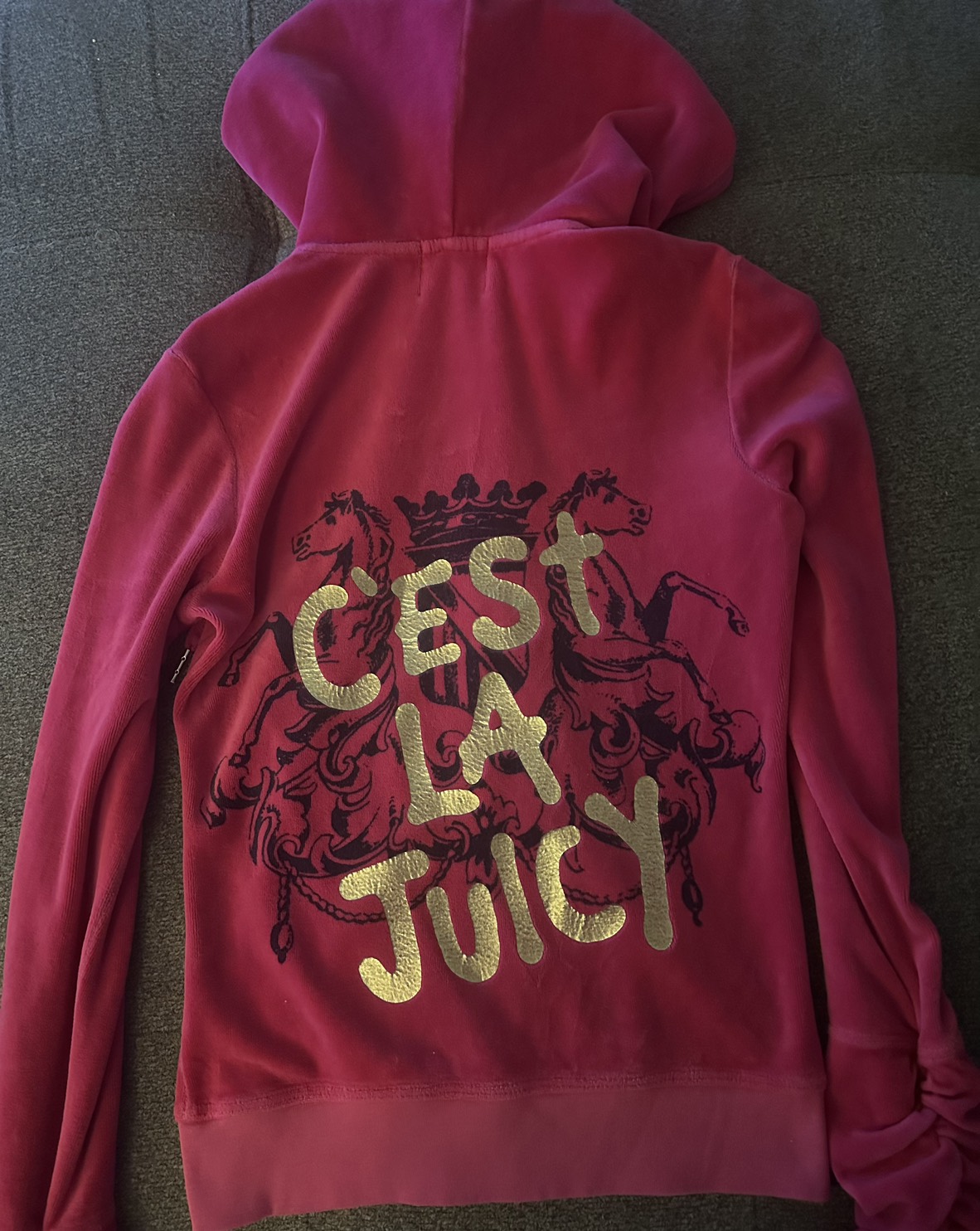 Velour C'est La Juicy Hoodie in Rose Pink