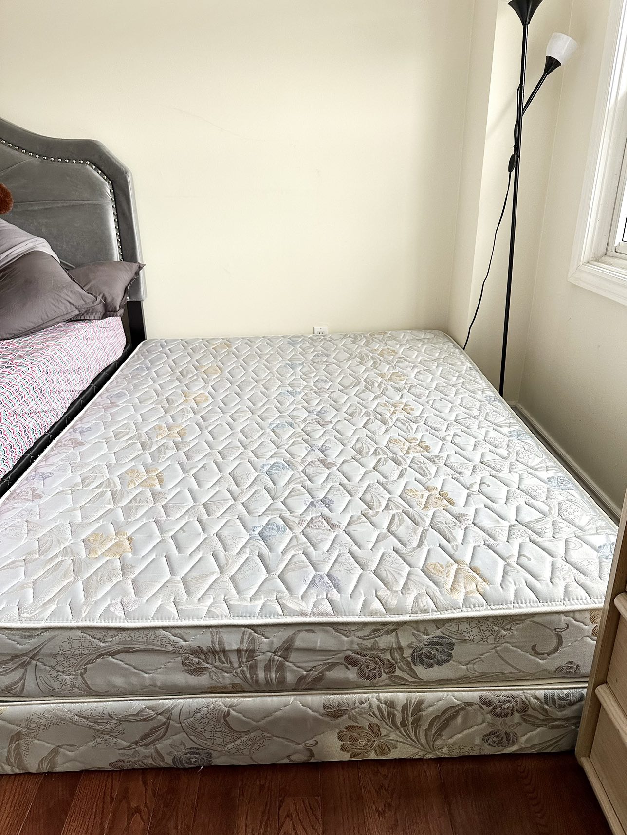 Queen Matress and Box Spring - photo 5