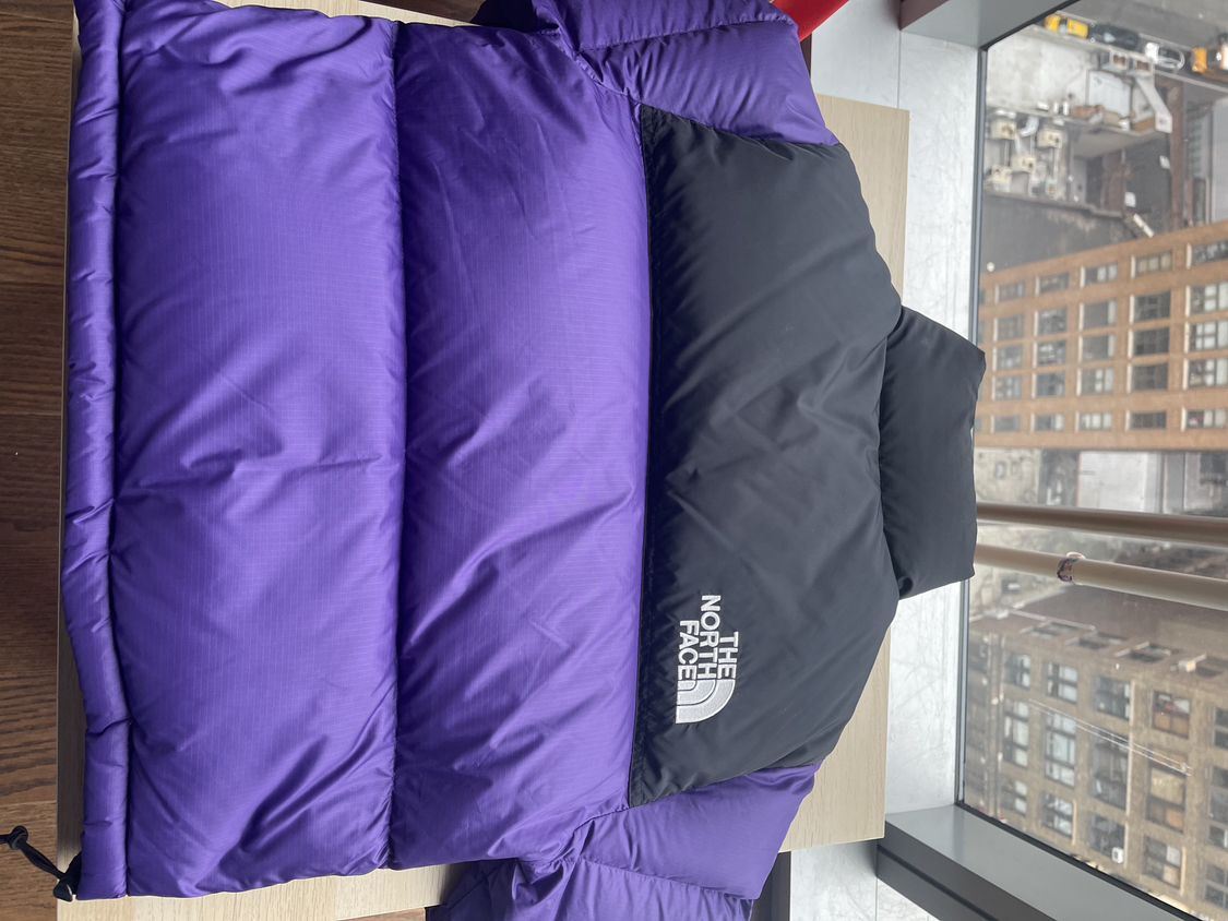 The North Face 1996 Retro Nuptse jacket in purple image indicator(5)