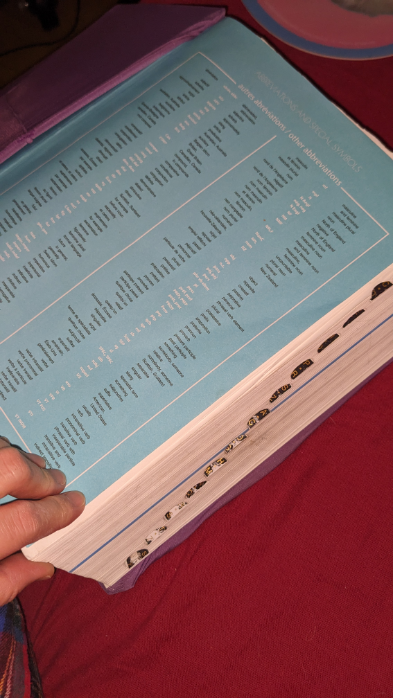 thick French dictionary w/ removable/washable cover + thumb tabs image indicator(3)