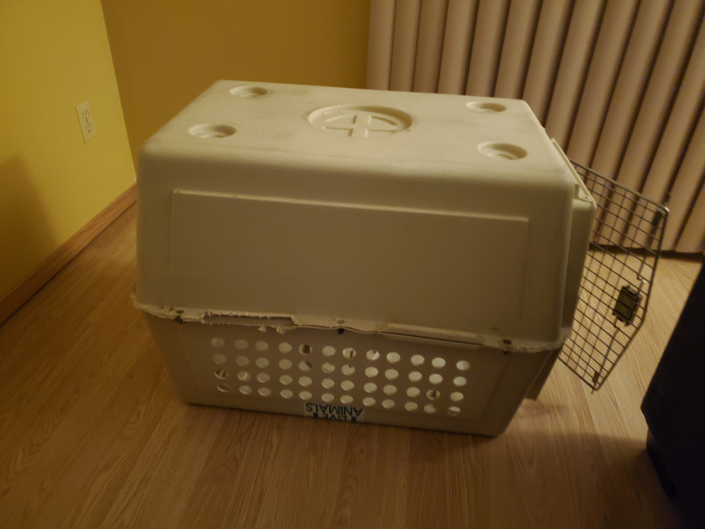 dog kennel