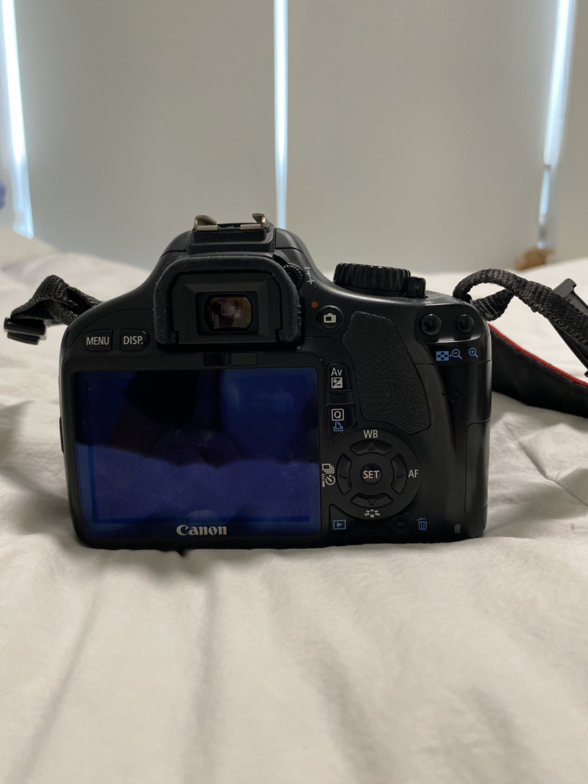 Canon EOS 550D - photo 4