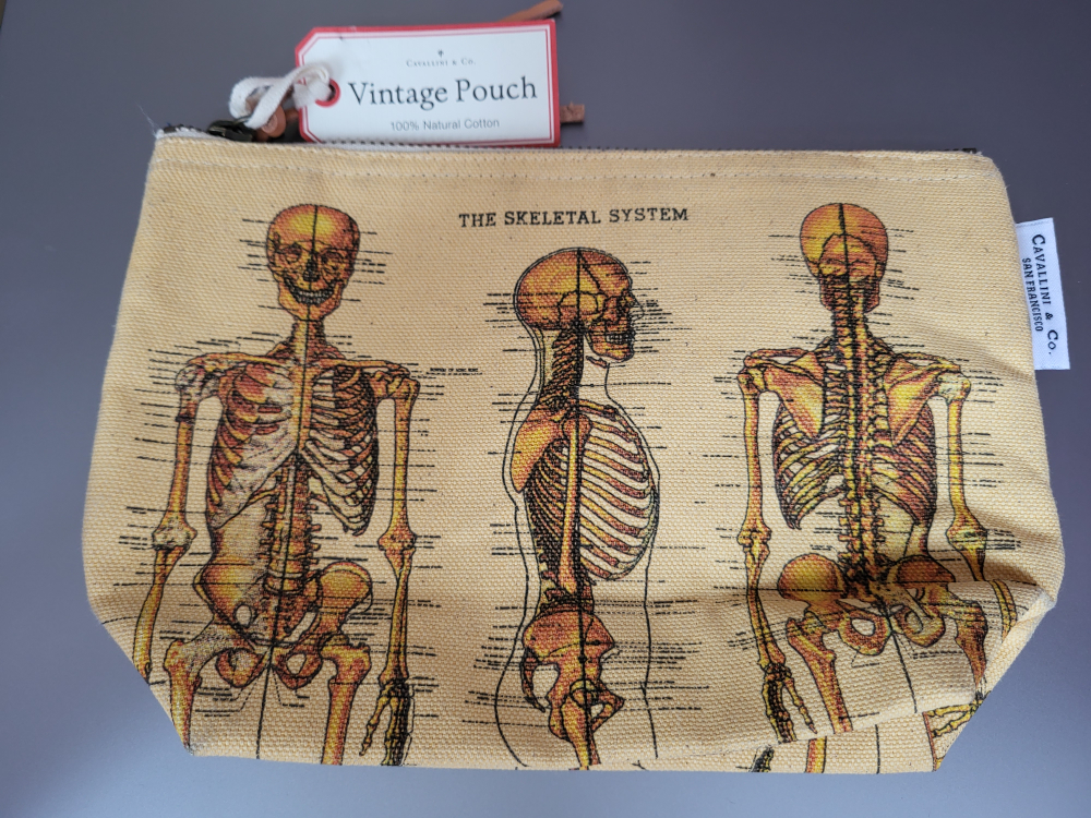 Skeletal System Pouch  #Freecycle
