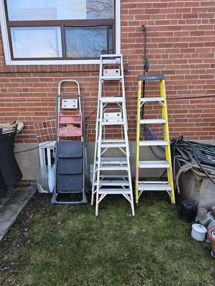 5 ladders thumbnail