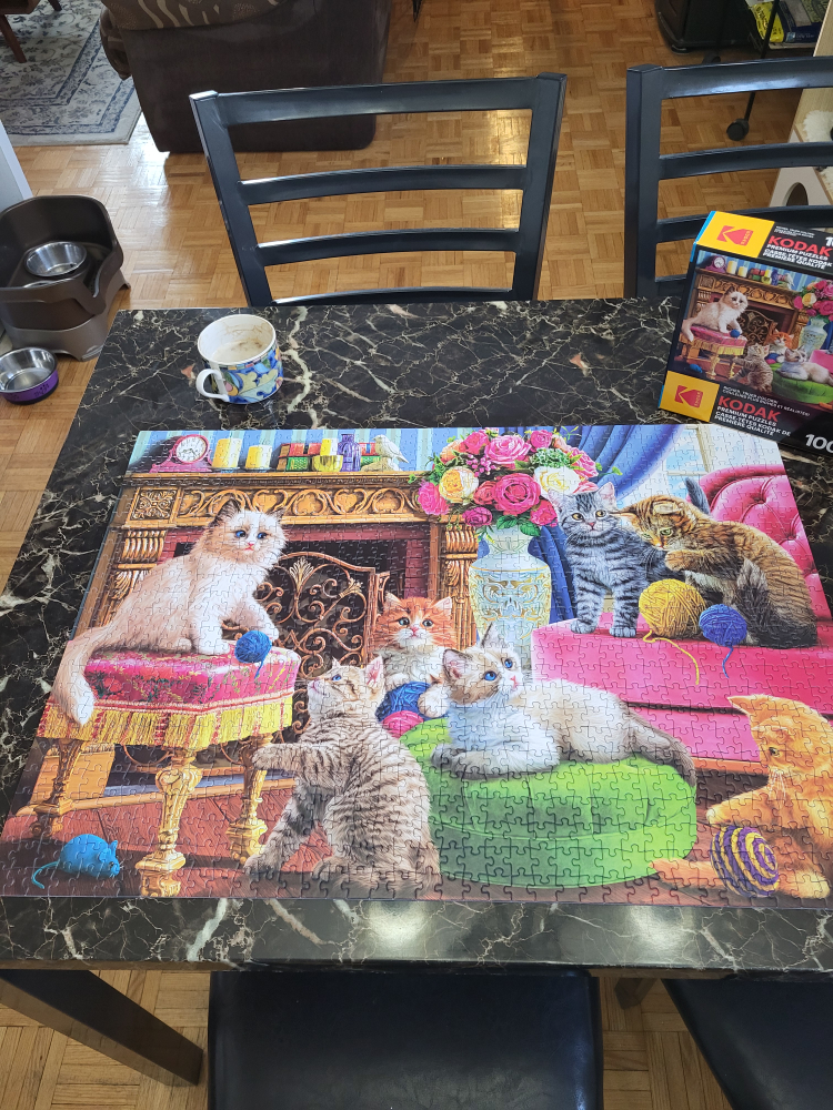 1000 piece puzzle