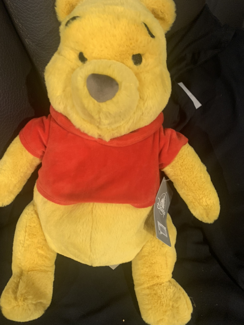 $20 Disney Winnie the Pooh 15” (NWT)
