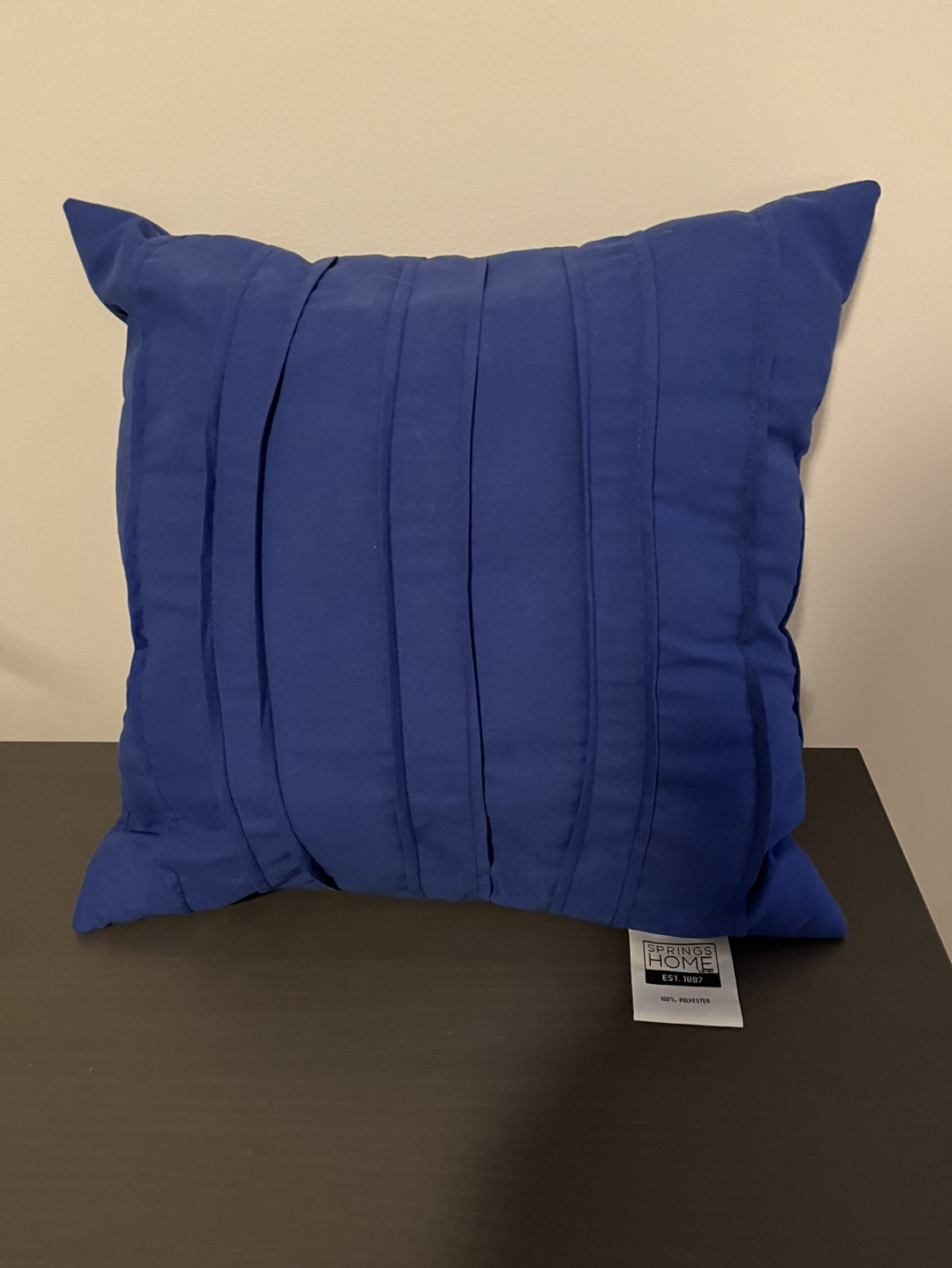 Blue throw pillow #freecycle