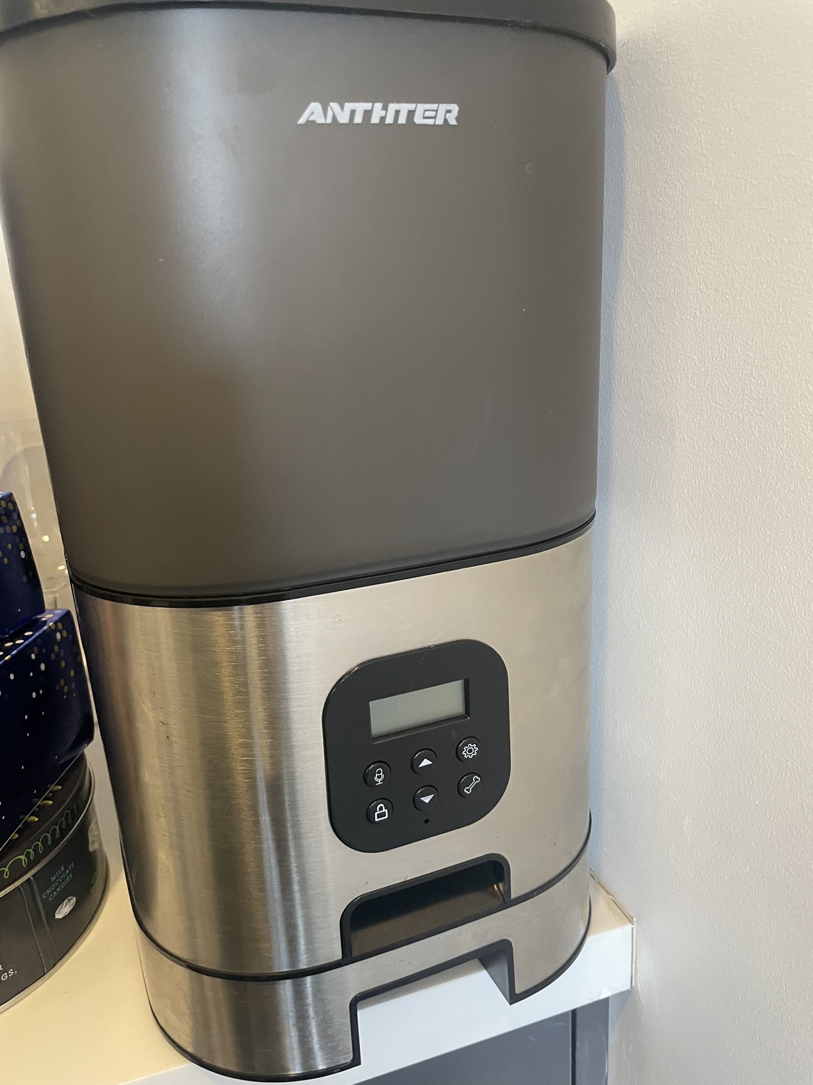 Automatic pet feeder with bowl