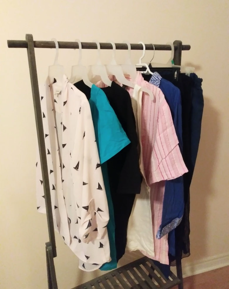 Women's Assorted Clothing (Size: L - Plus) image indicator(6)