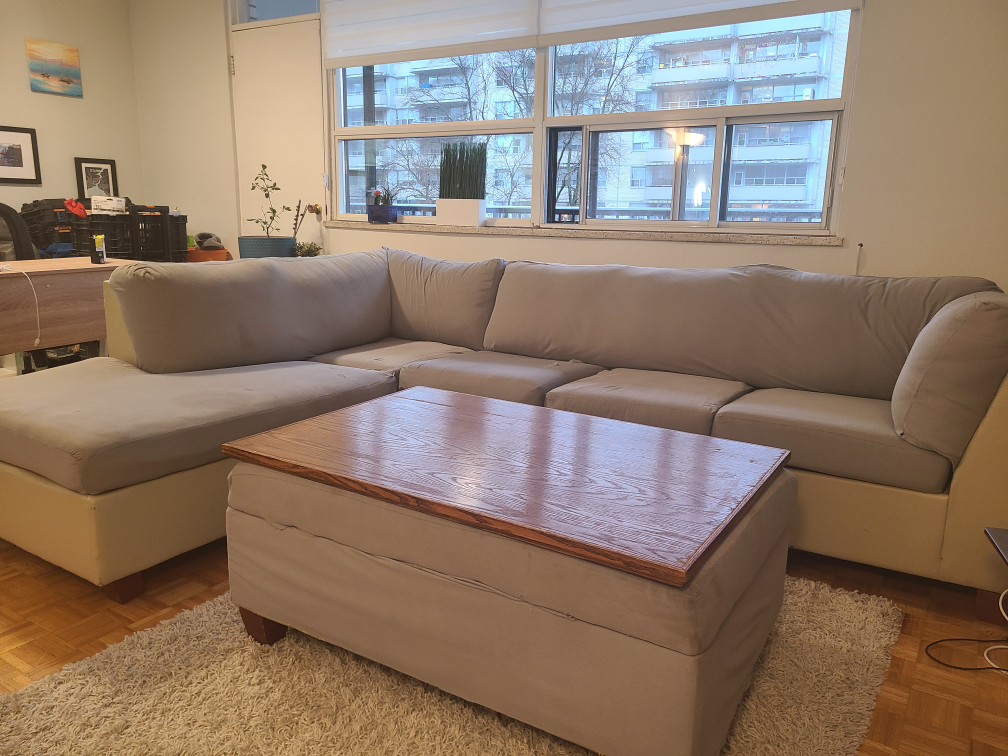 U Shaped Sectional Couch - Needs Upholstery