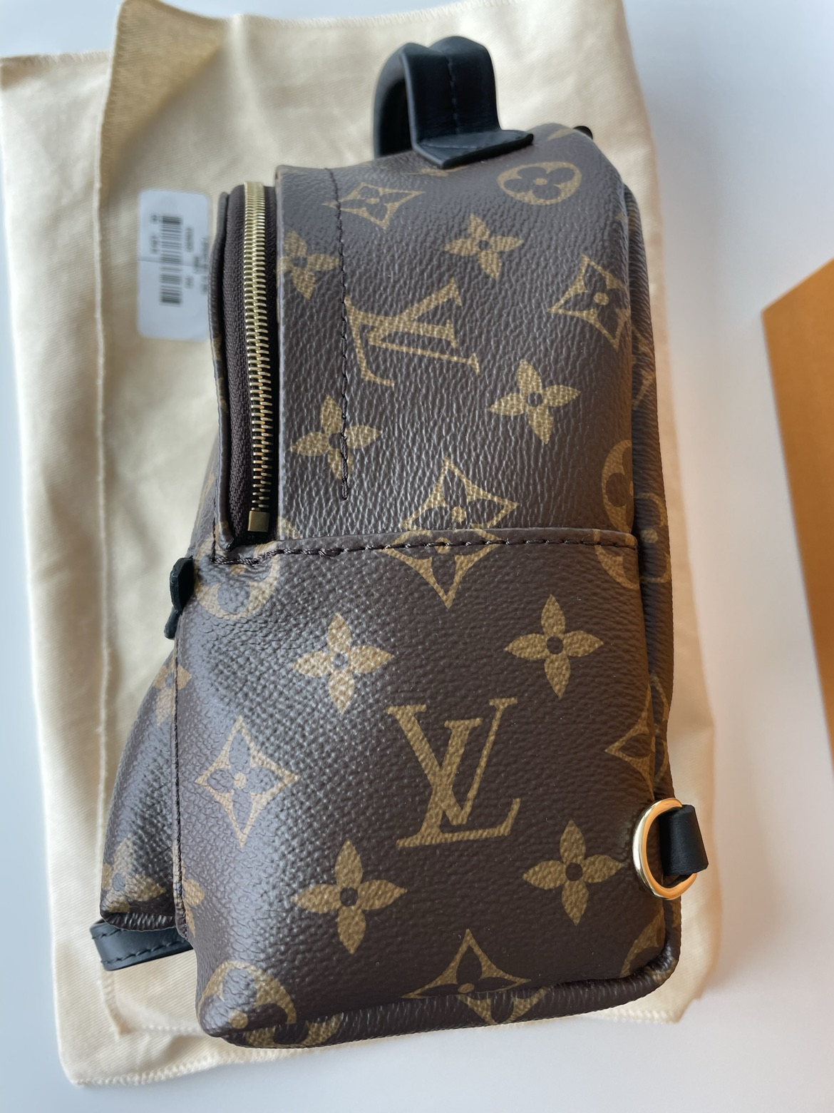 LV Palm Springs mini - photo 5