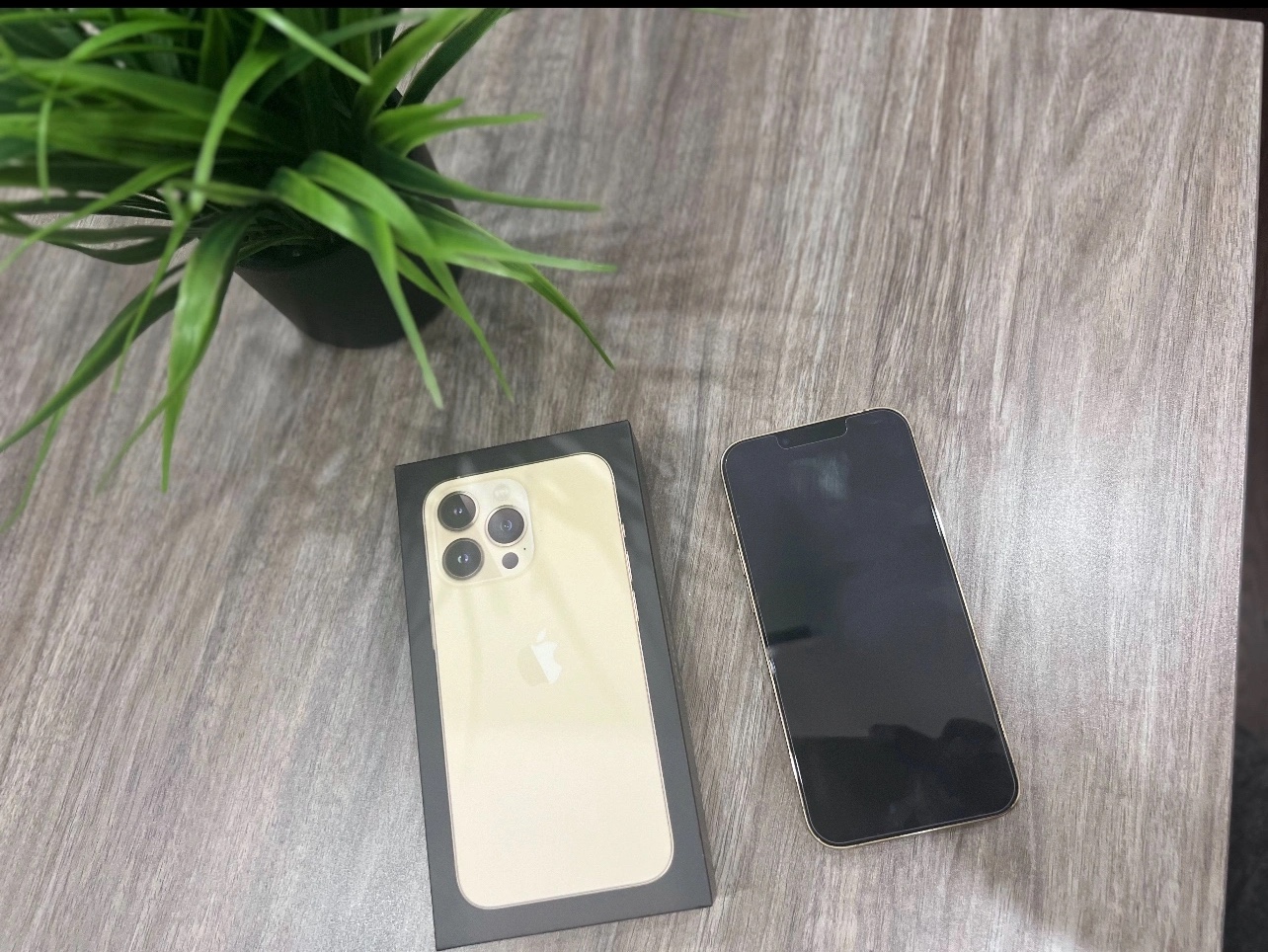 Apple iPhone 13 Pro - photo 2