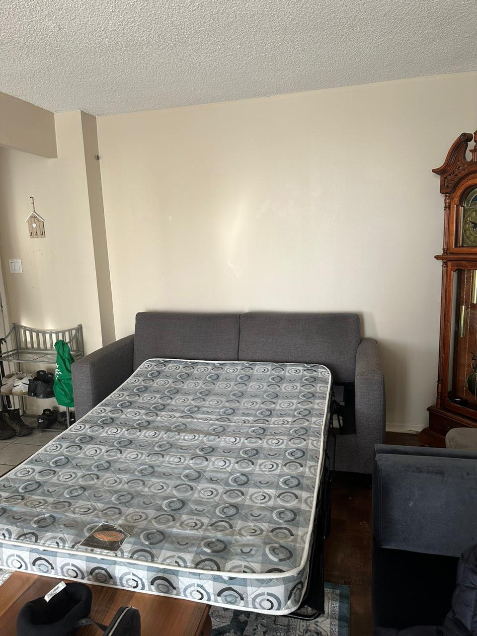 Sofa bed - photo 5