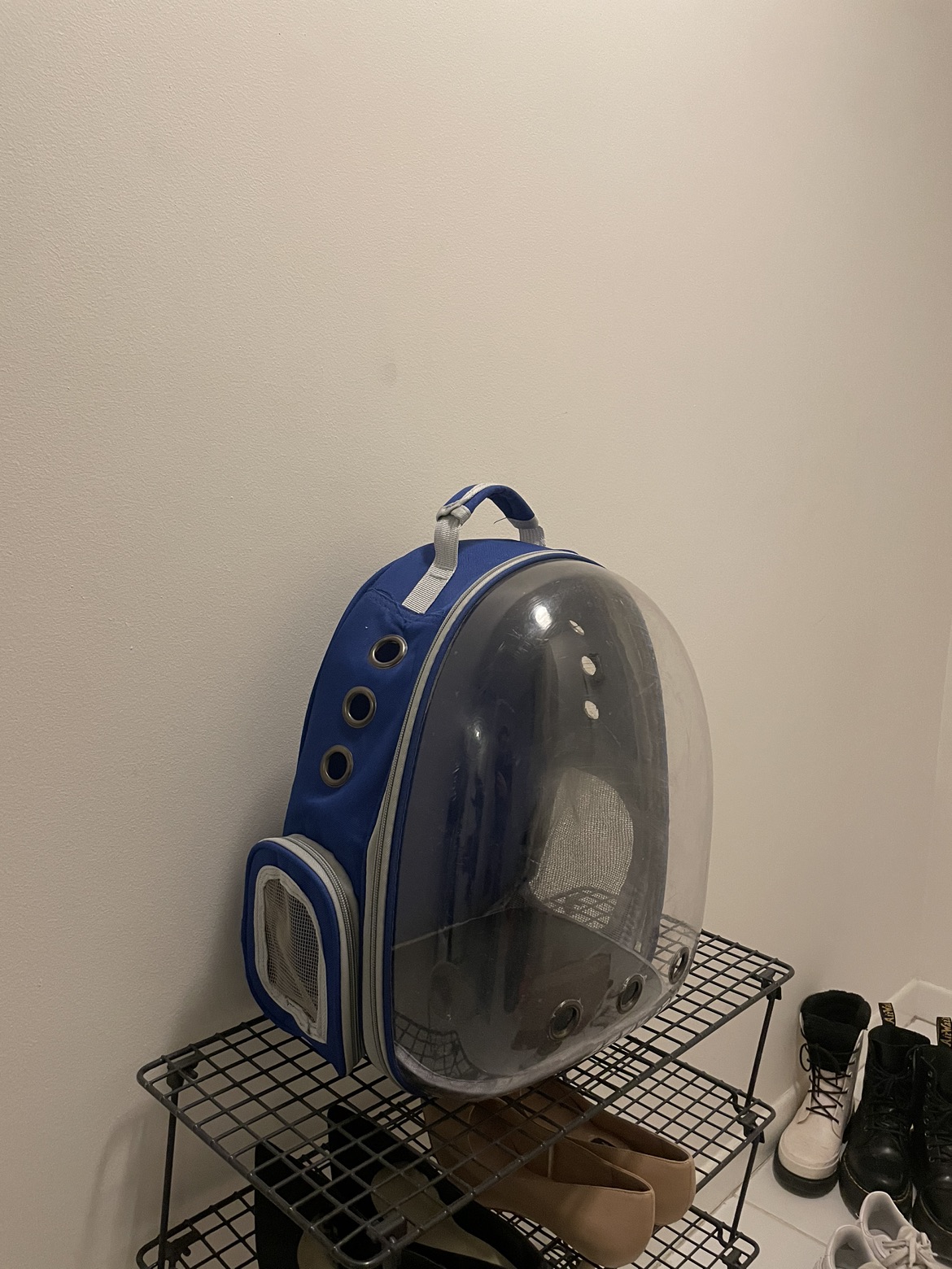 Transparent Pet Carrier / Bag thumbnail