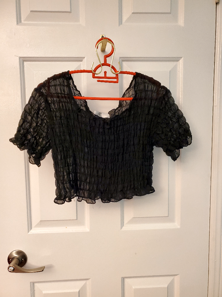 sheer black crop top thumbnail