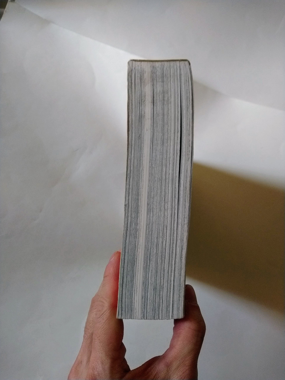 Attack on Titan: Colossal Edition vol 1 image indicator(4)