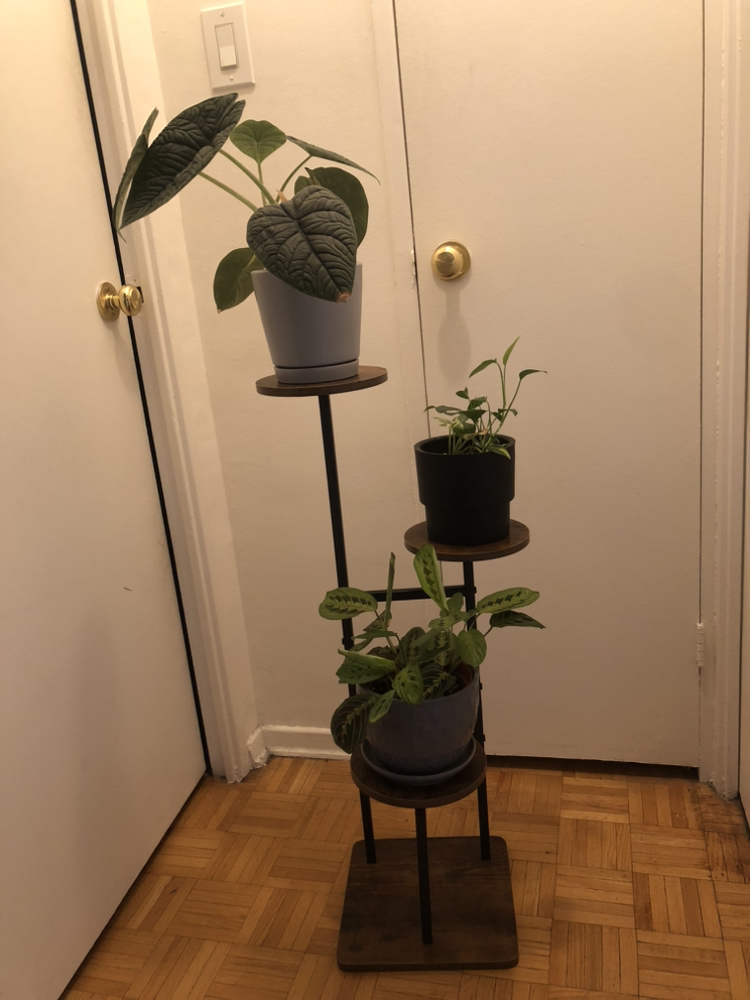 3 Tier Plant Stand - photo 3