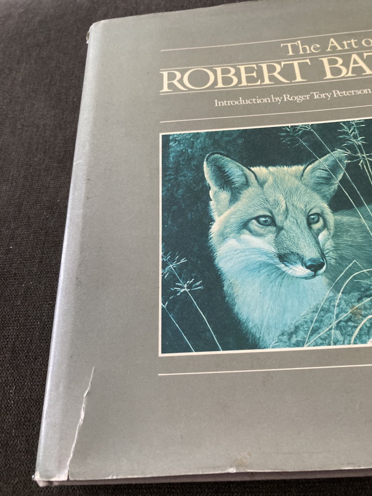 🥕FREE🥕 Artist Book image indicator(4)