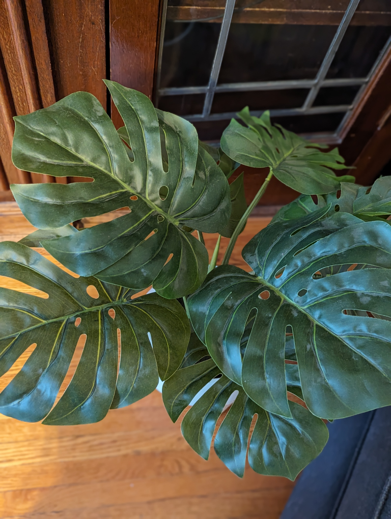 Faux Monstera Plant image indicator(2)