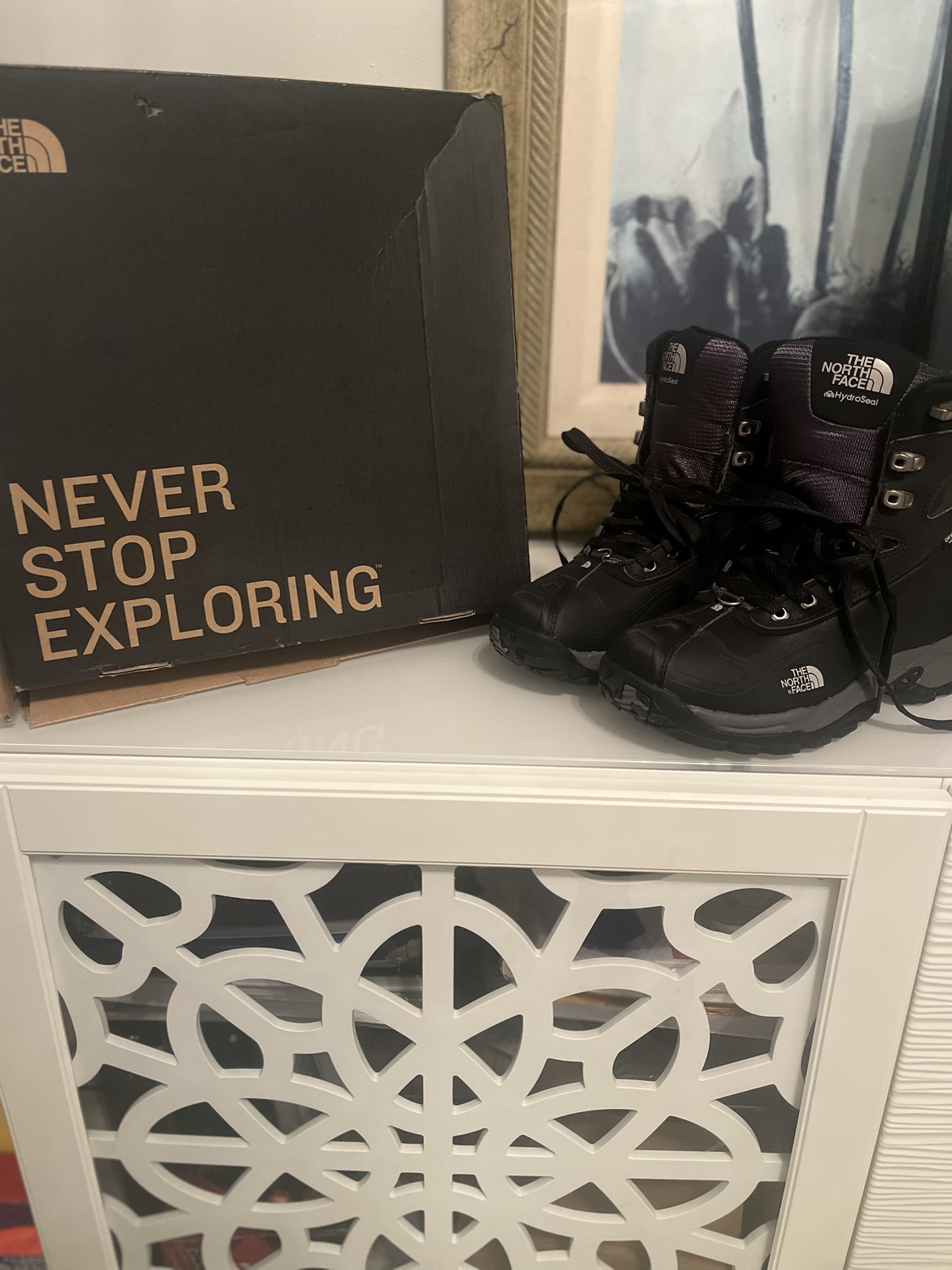 North face men’s winter boots