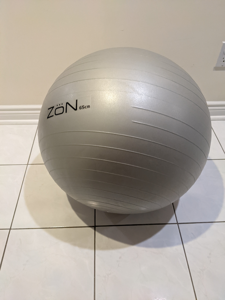exercise/balance ball #freecycle