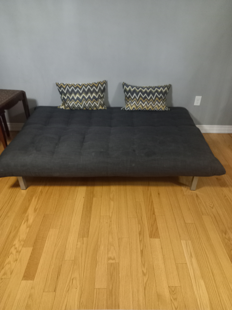 sofa cum bed - photo 3