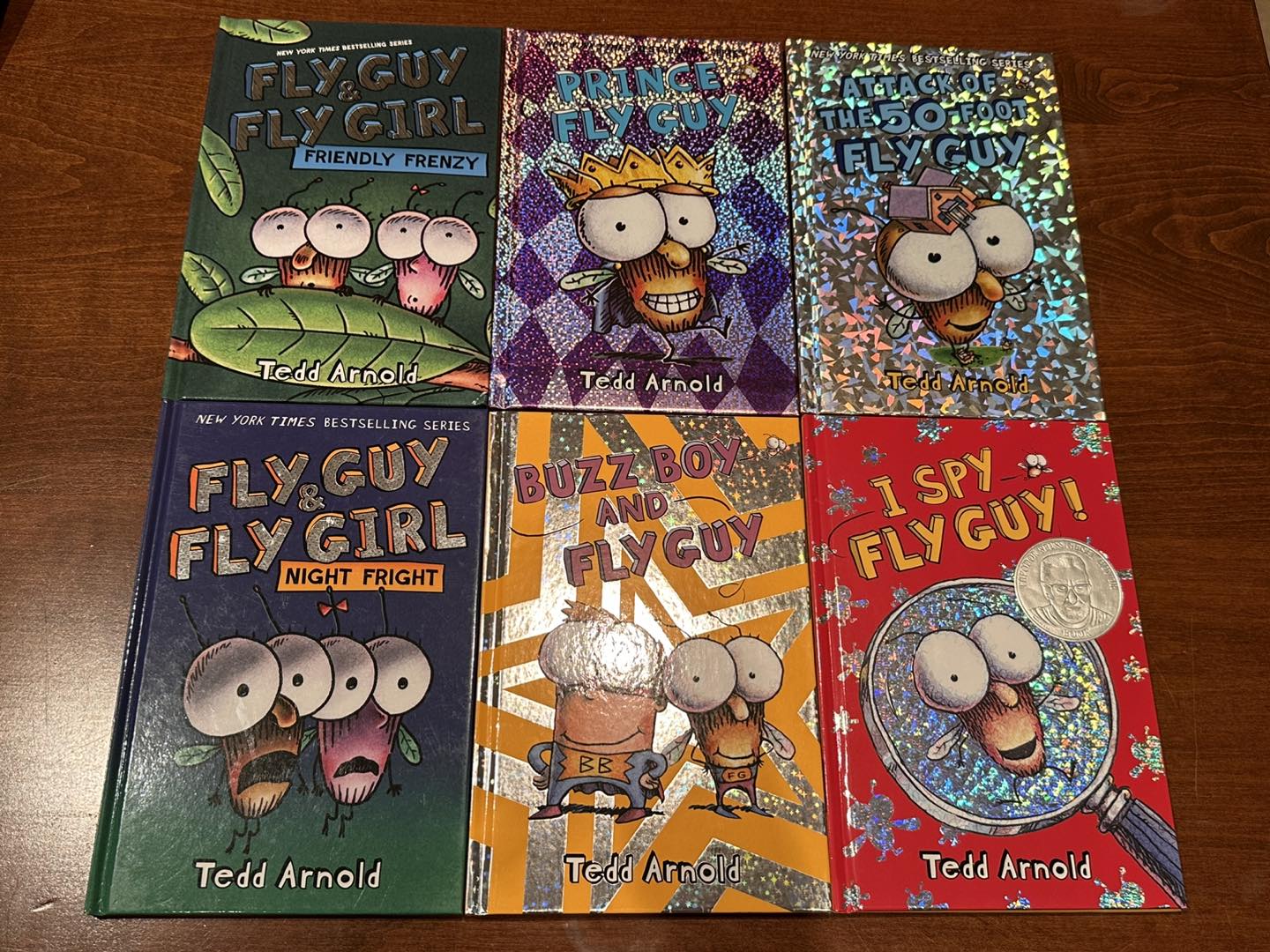 Fly guy
