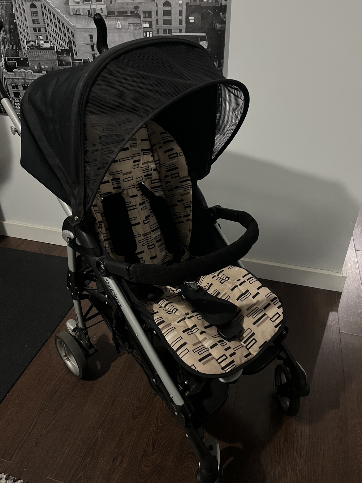 Peg Perego stroller