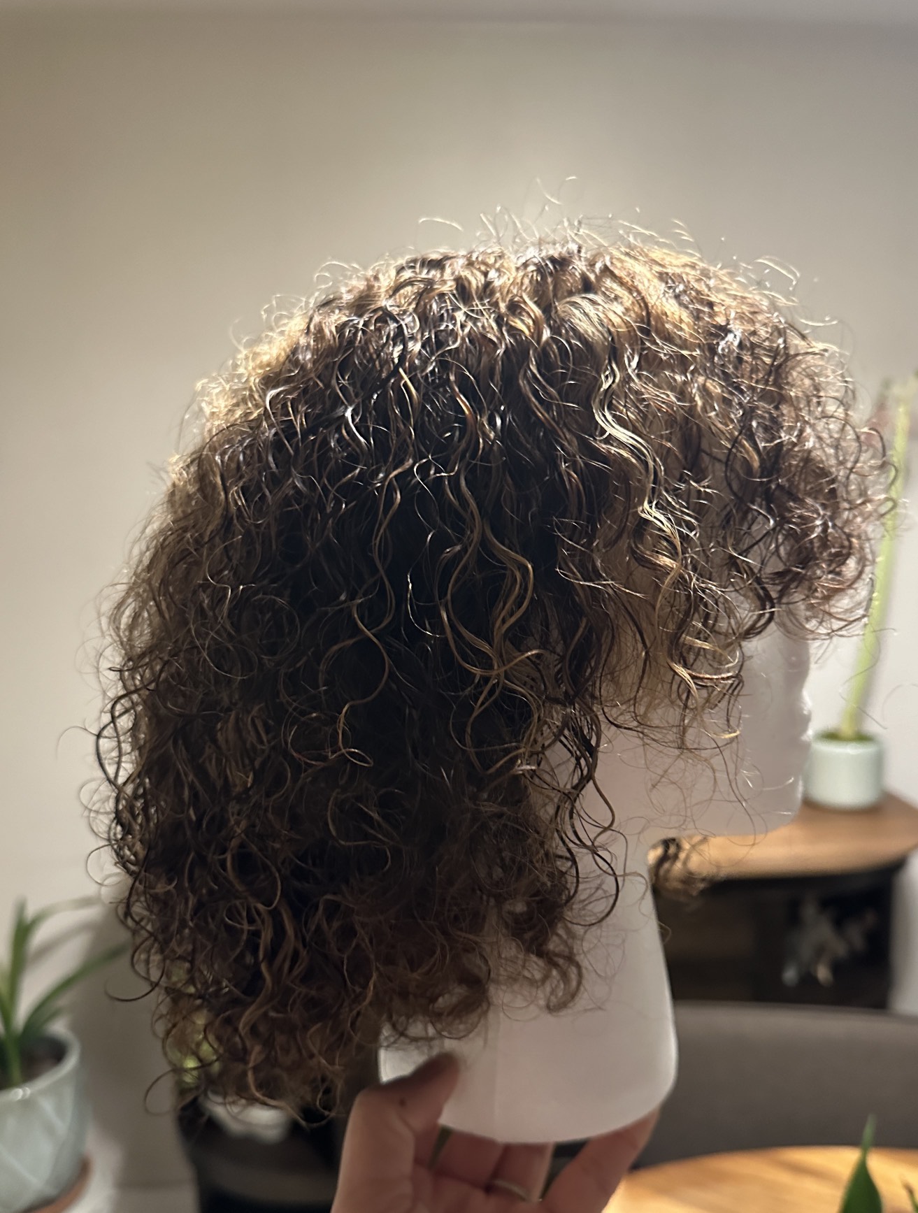 Human Hair Wig - photo 2
