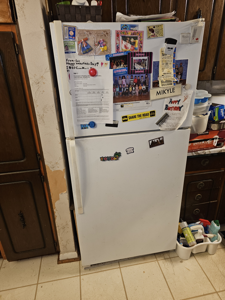 fridge thumbnail