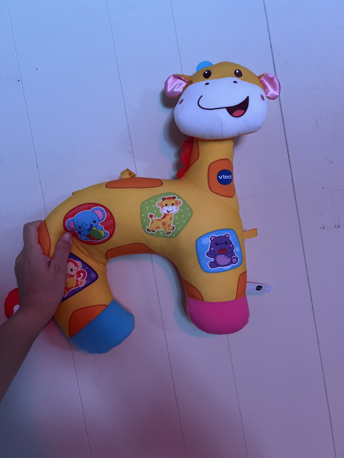 Tummy Time Discovery Pillow 🥕