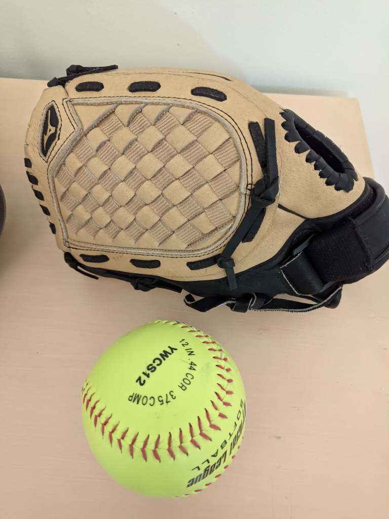 Softball/baseball glove kids 🥕 image indicator(2)