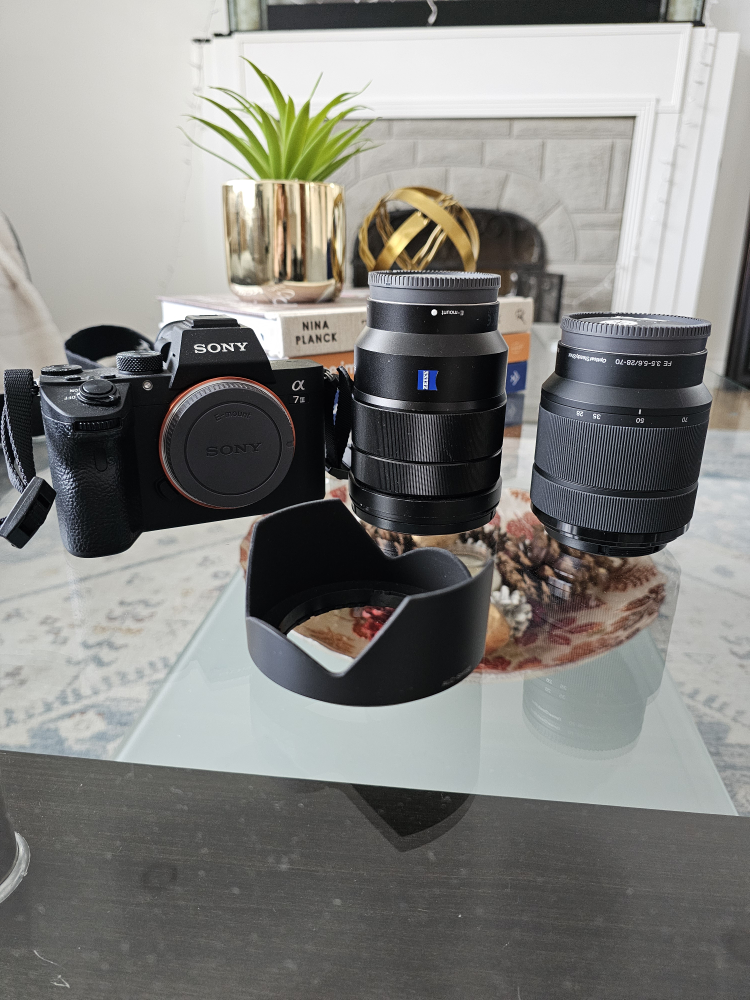 Sony Full Frame Camera with optional lenses