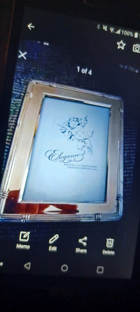 Elegance Photograph Book Silver Plated thumbnail