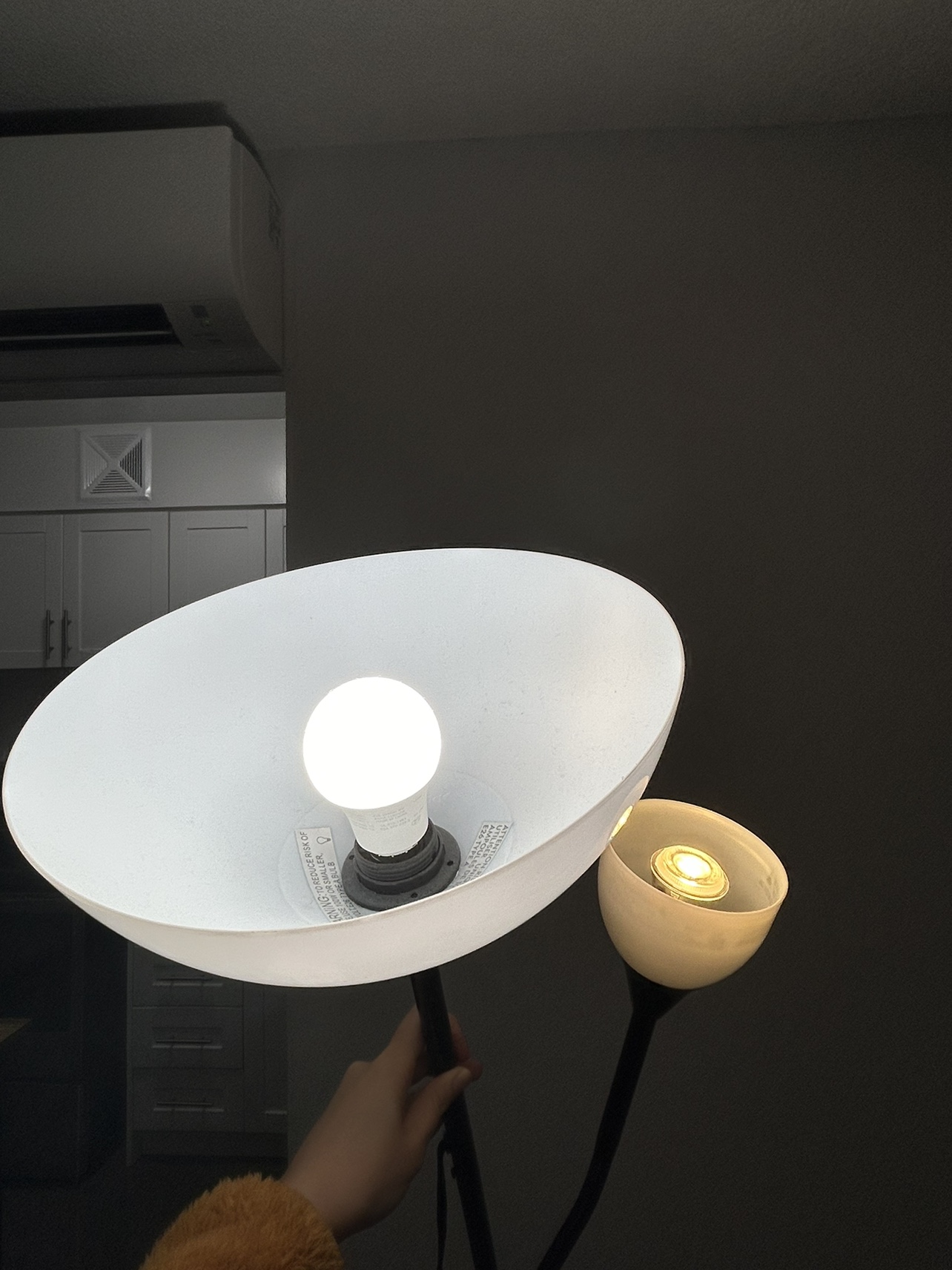 IKEA floor lamp (2 bulbs included)