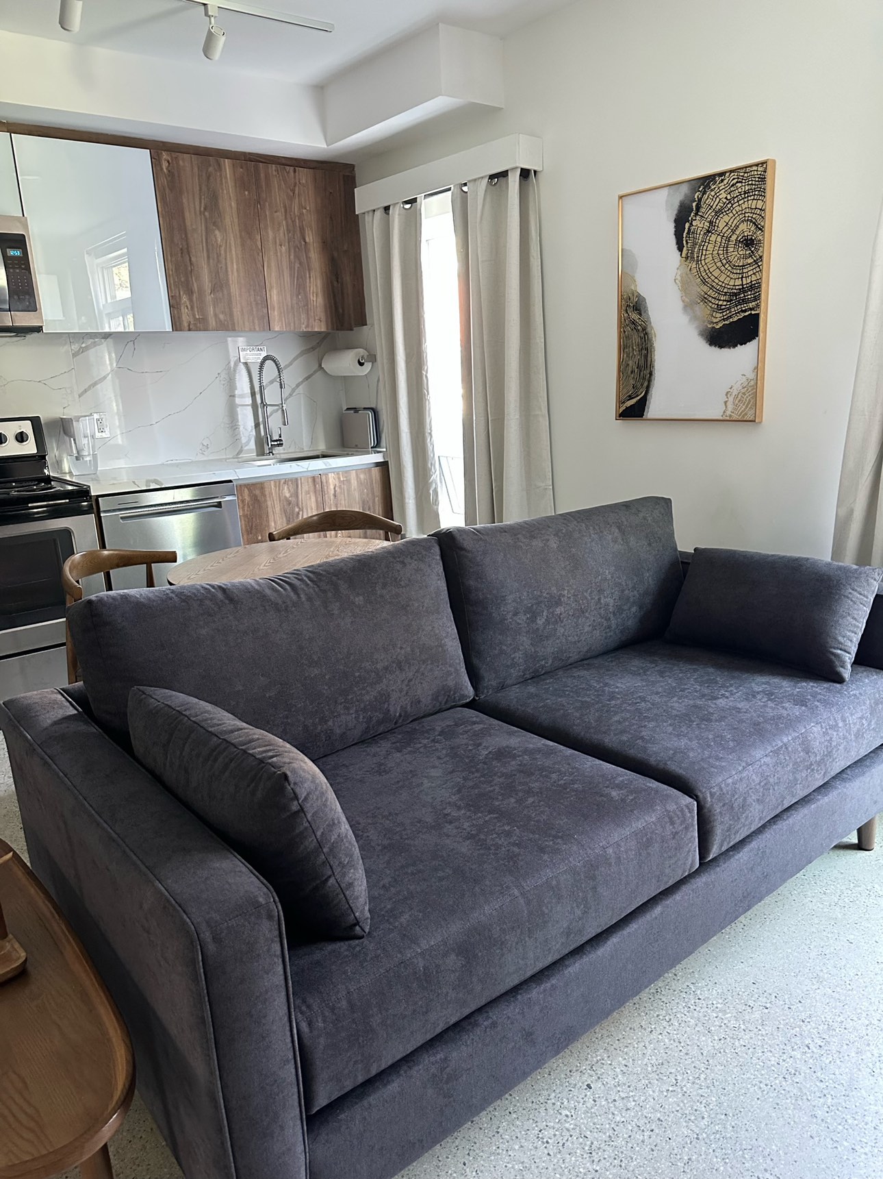 New Charcoal Couch image indicator(3)