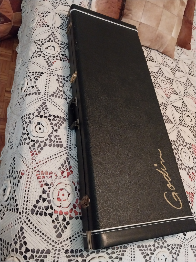 Guitar case