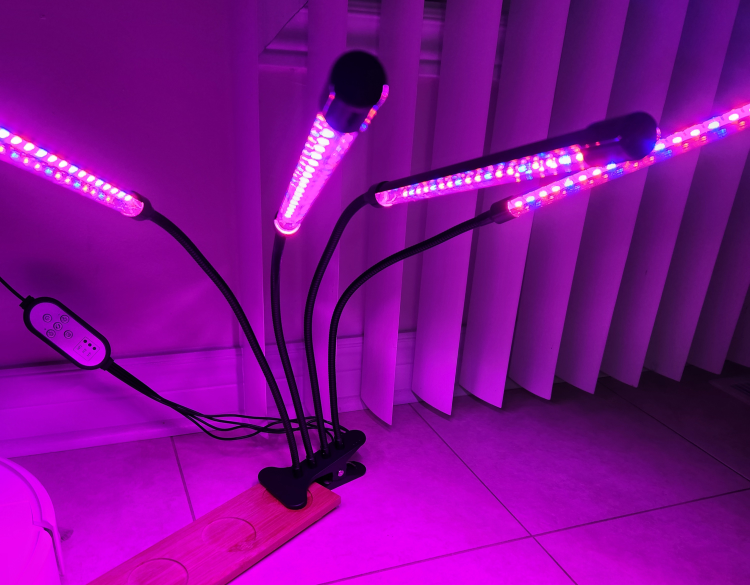 grow light image indicator(2)