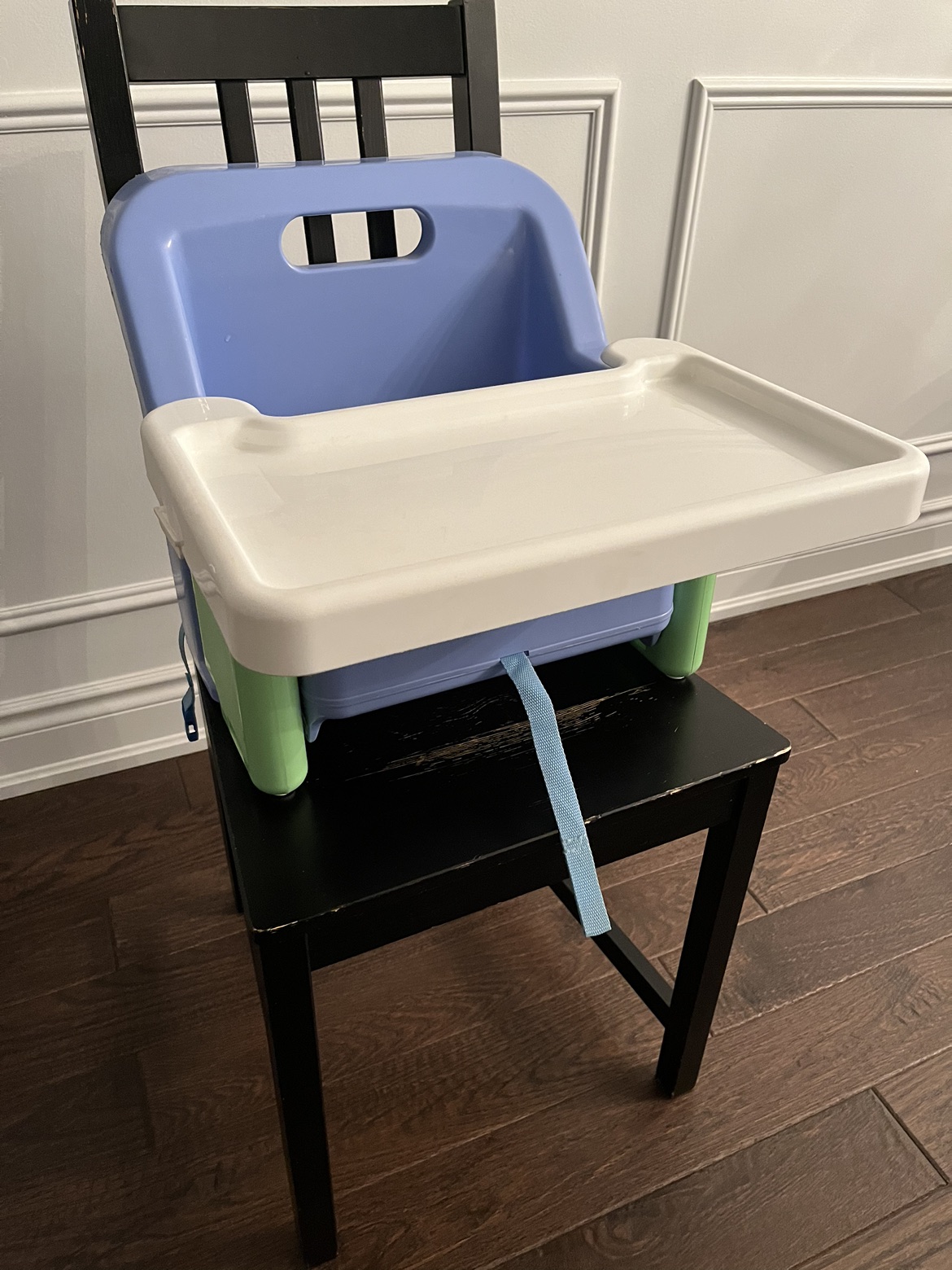 Portable Booster Seat with Tray!