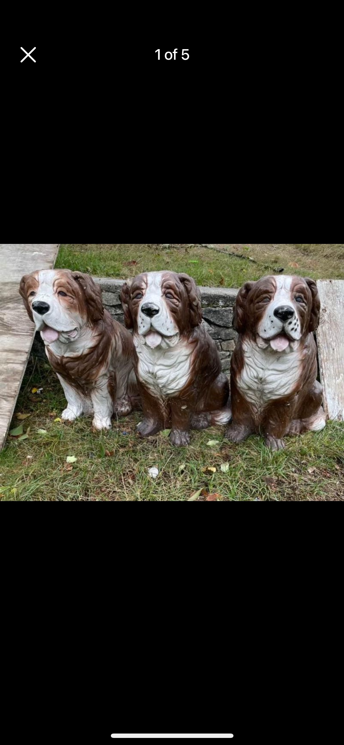 Early 1950s Vintage Outdoor realistic Great Bernard