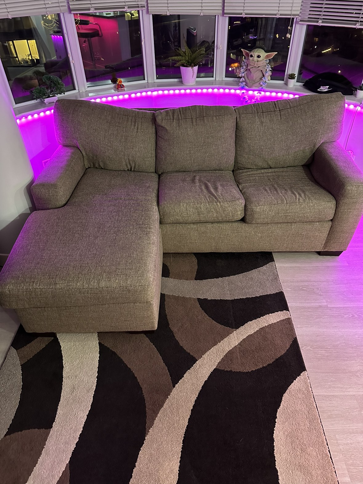 Sectional Couch with Pull Out Bed