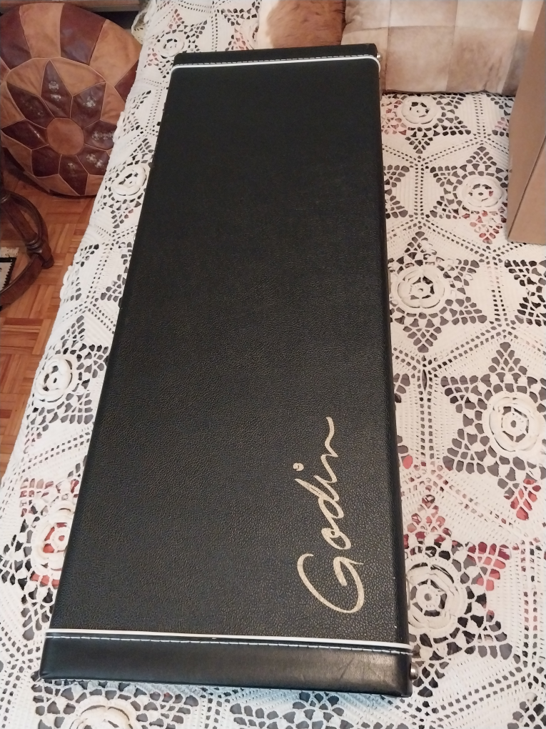 Guitar case - photo 5