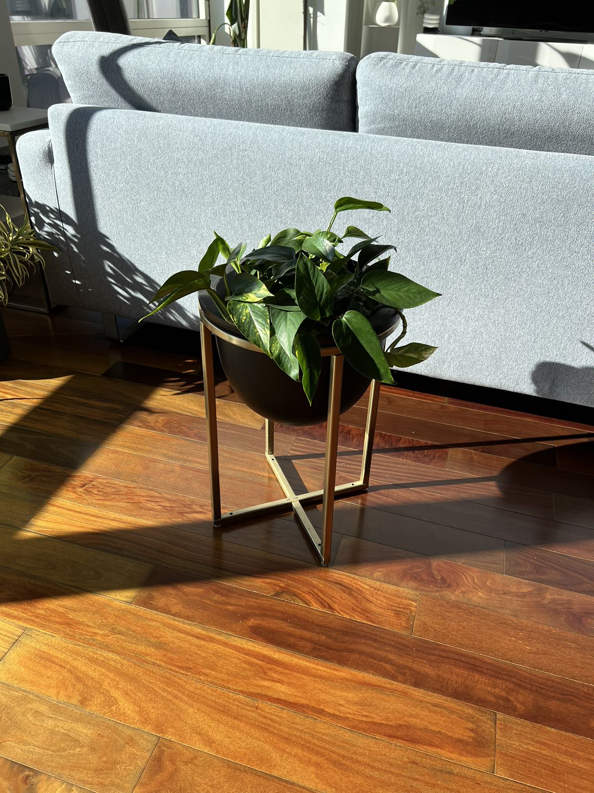 West elm Eden Cross Base Brass Standing Planter 13” D - photo 2