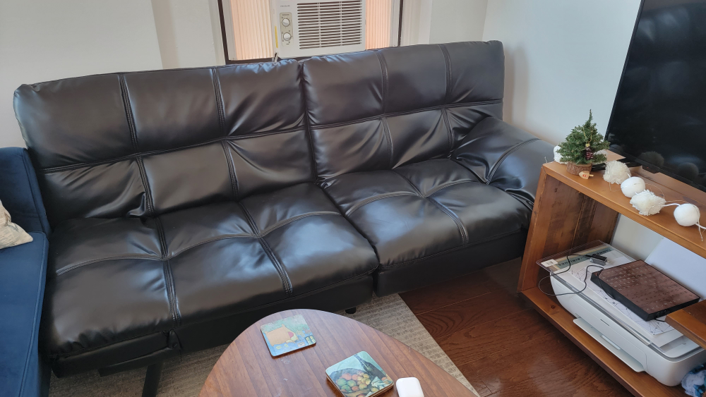 Futon sofa couch
