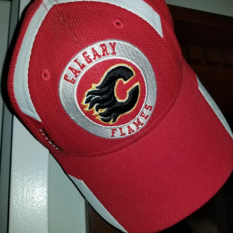 NHL Calgary Flames profit