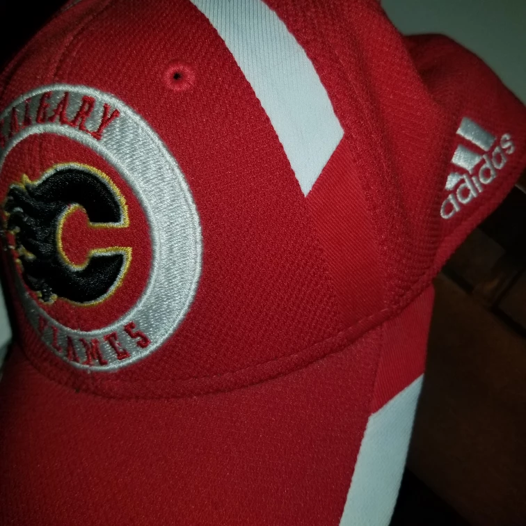 NHL Calgary Flames profit - photo 2
