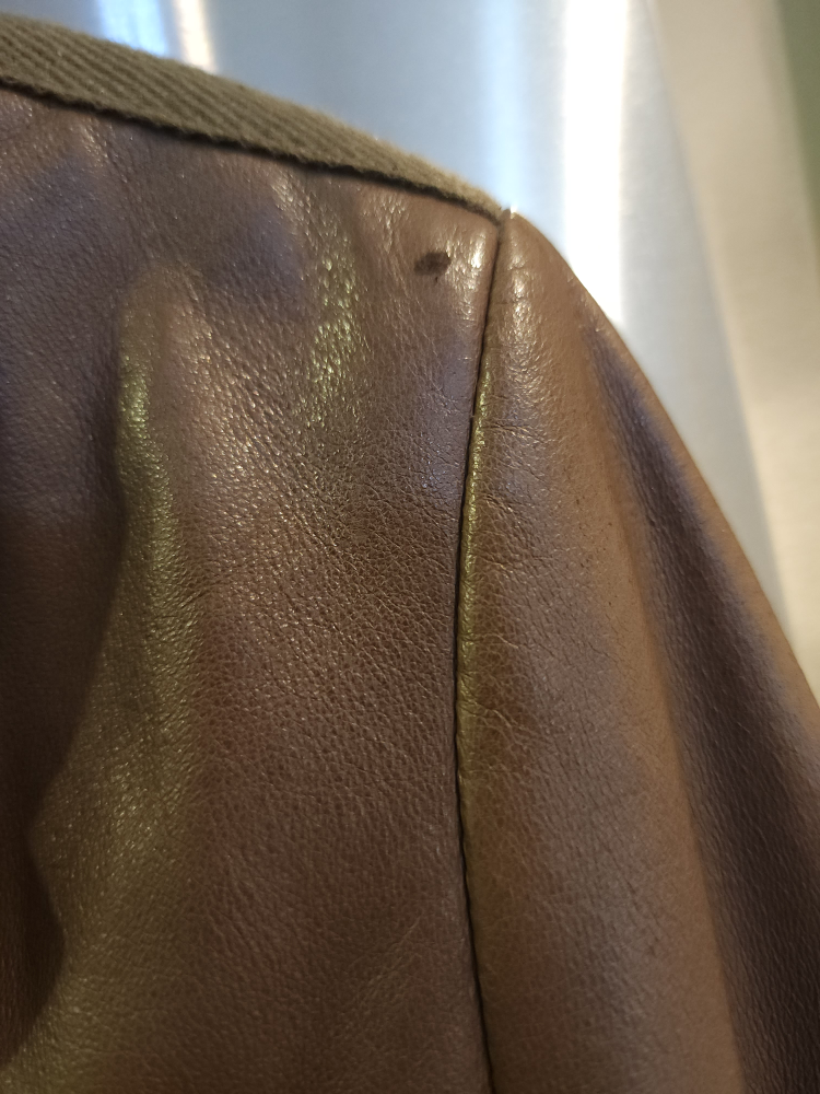 Danier Women's Genuine Leather Jacket  Size 2X Small image indicator(8)