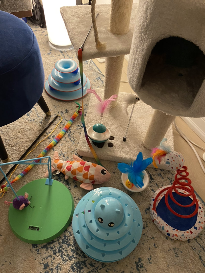 Cat toys - photo 2