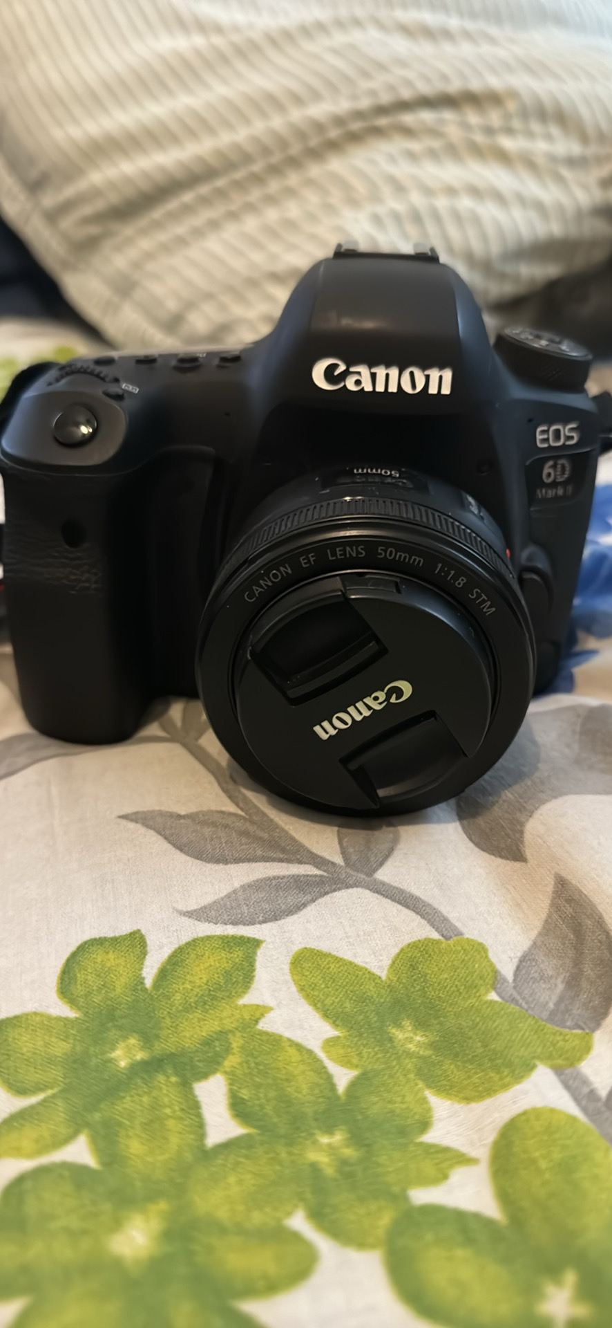 Canon EOS 6D mark ii with EF 50 mm f/1.8 STM lenses - photo 3