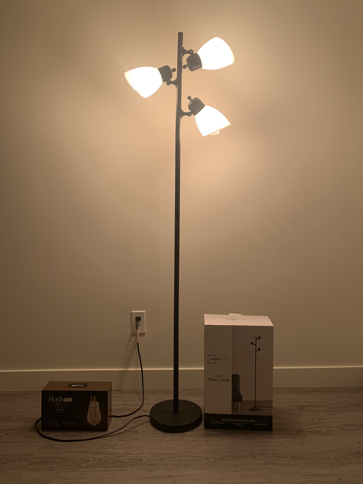 Elegant & Functional 3 Light FLOOR LAMP + 4PCS Hudson Bulbs - photo 2